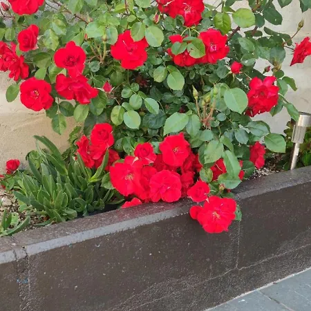 La Gurriata Dom wakacyjny Melque