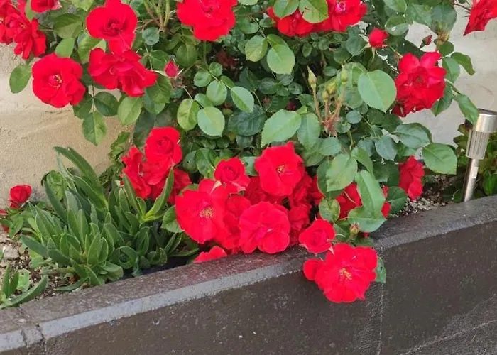 La Gurriata 펜션 Melque